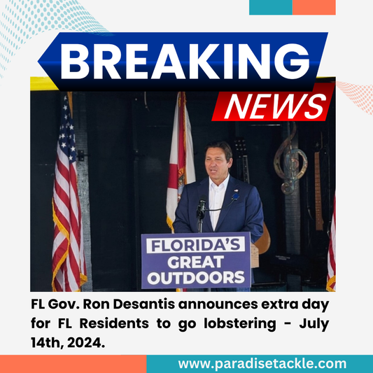 Desantis Announces Extra Lobster Day For Florida Residents