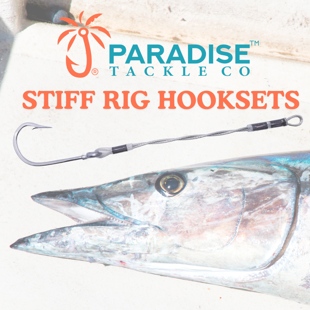 Stiff Rig Hooksets - Why you need to use them! – Paradise Tackle Co