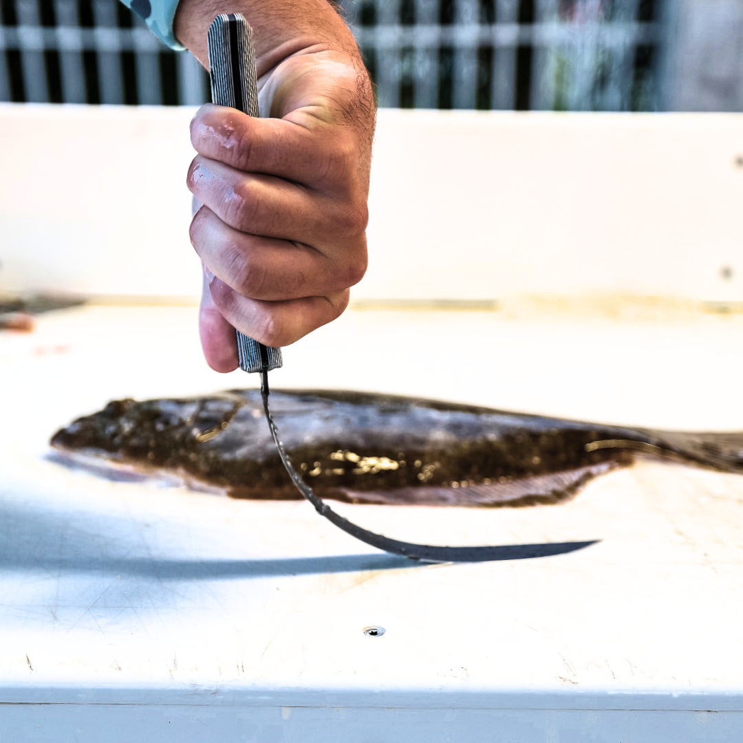 SORD Fishing Products - 8" Fillet Knife - Super Flex