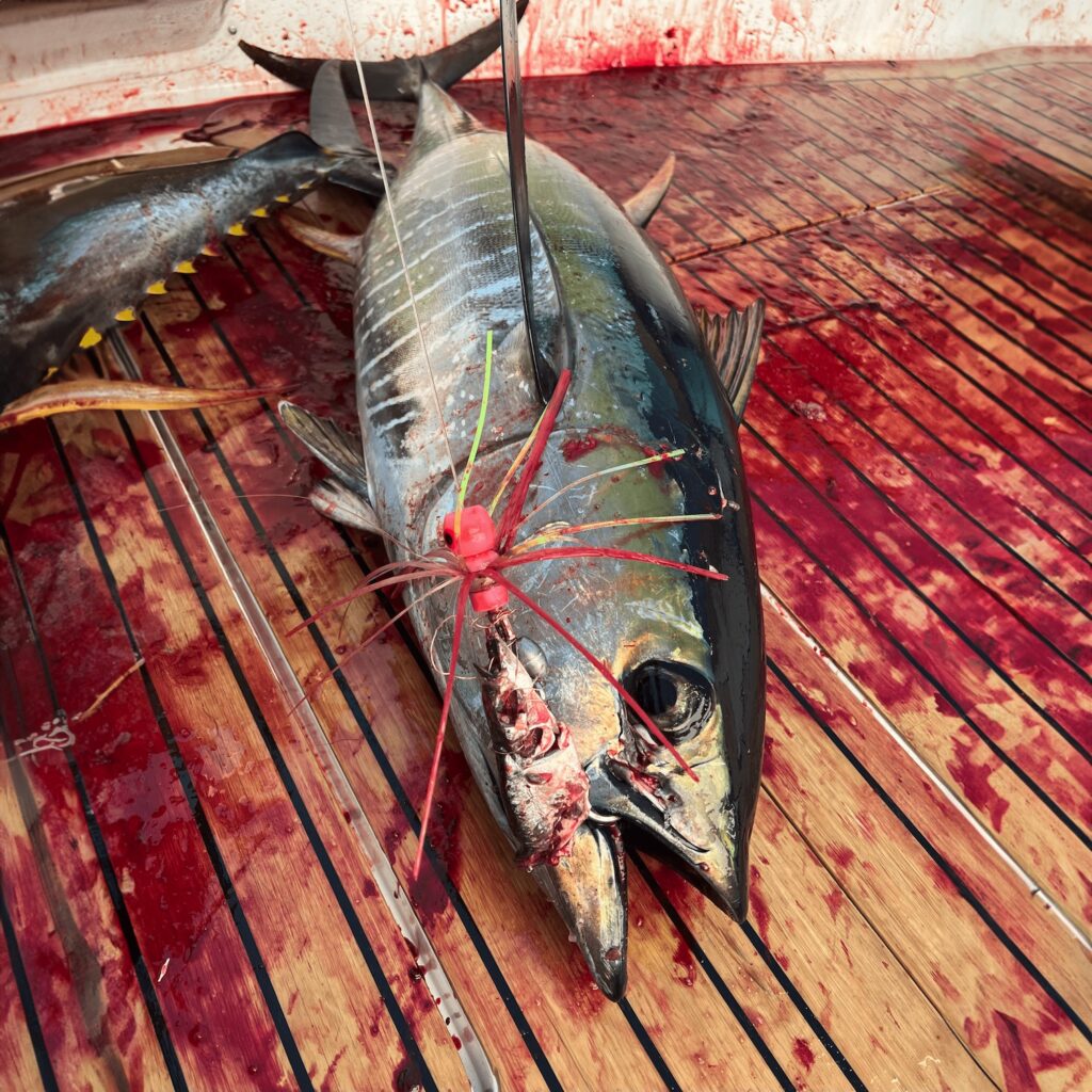 Wolfpack Tackle - 3/4oz Jet Head with Premium Nylon Hair