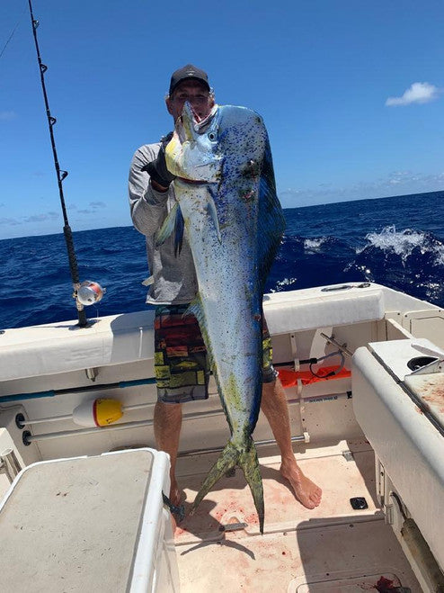 FishRazr - Dolphin Daze Jr 5.5" (Rigged)