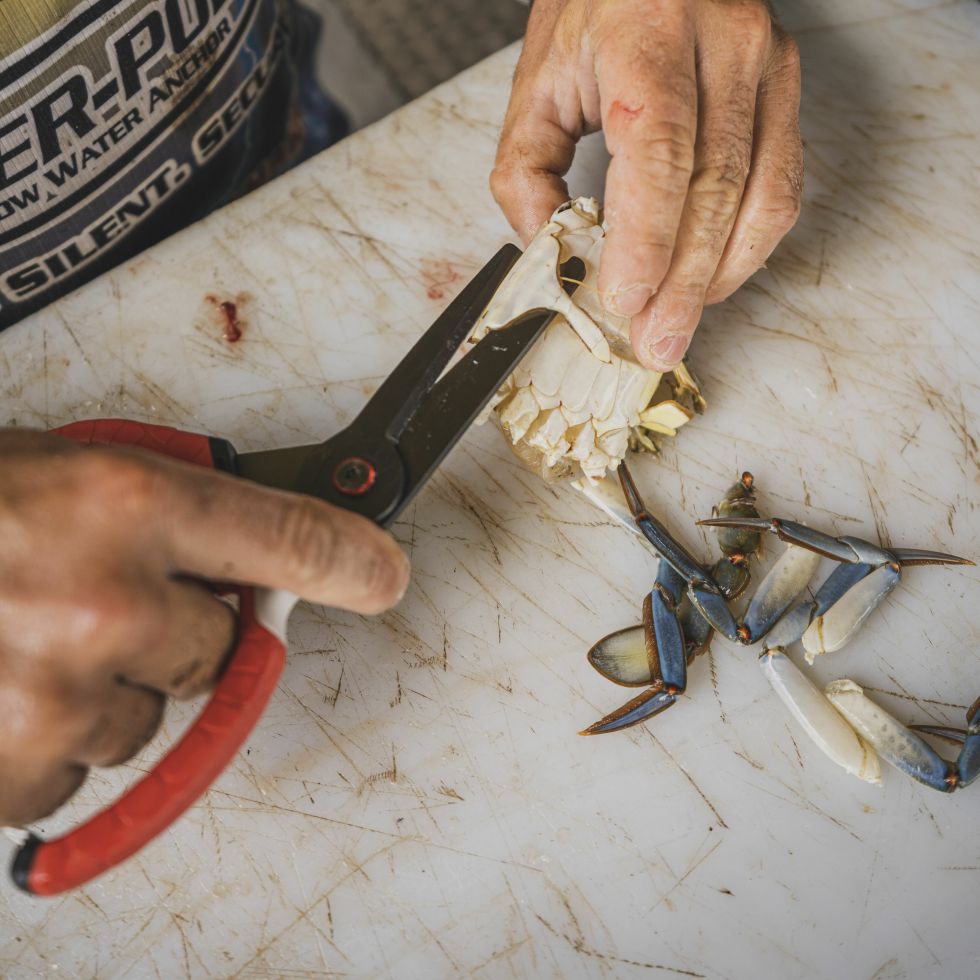 Bubba - Large Shears