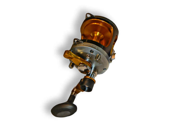 best 2 speed fishing reels Qualia