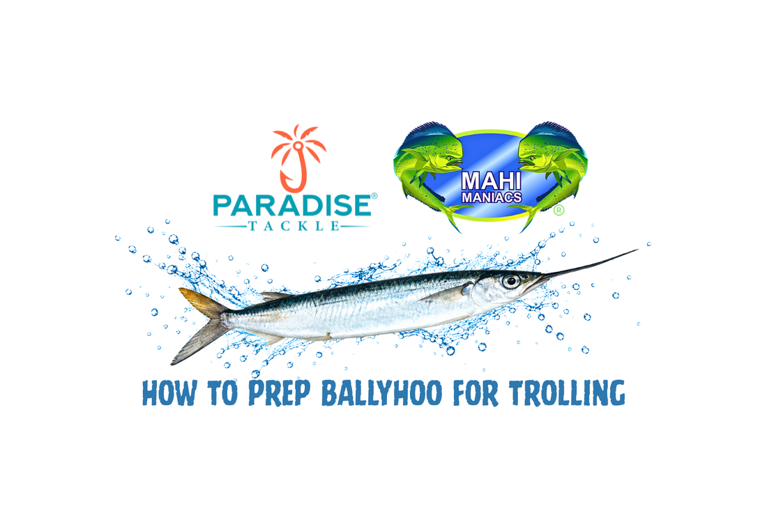 How to brine ballyhoo for trolling