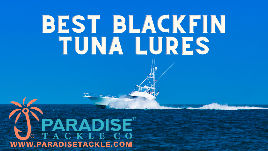 Best Blackfin Tuna Lures