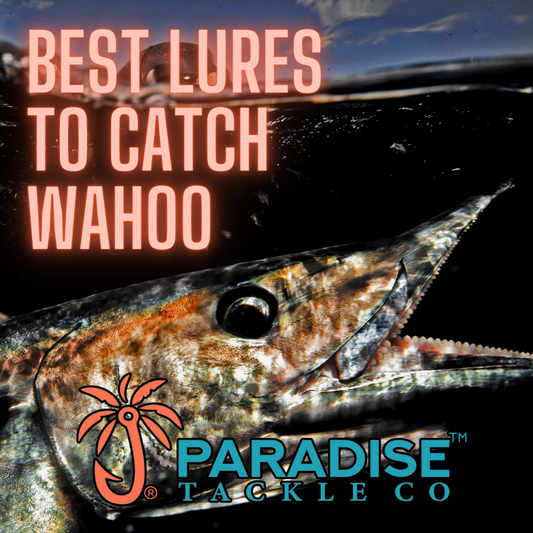 Best lures to catch wahoo. High Speed Trolling. How to catch Wahoo.