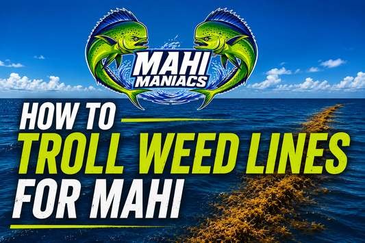 How to troll weed lines for mahi