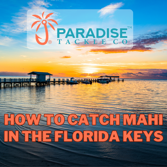 How to Catch Mahi in the Florida Keys and South Florida