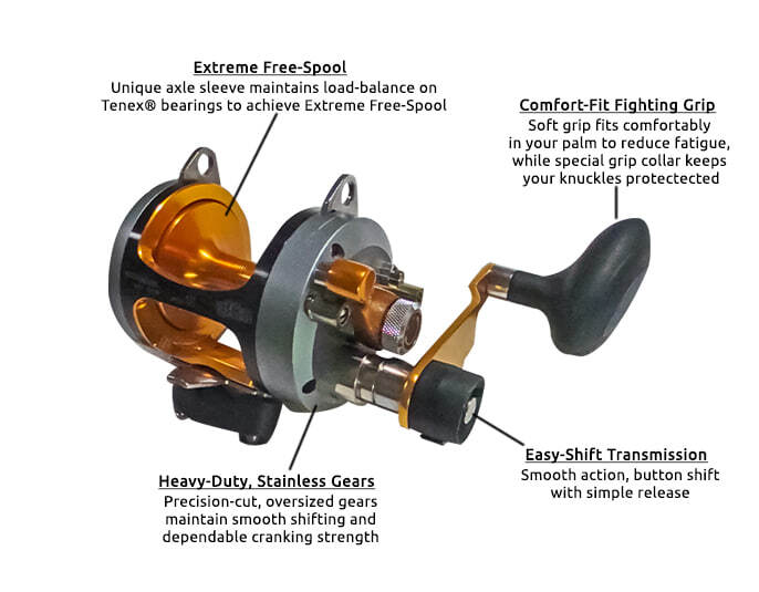 Qualia - Advanz Q12-2 Two-Speed Reel – Paradise Tackle Co